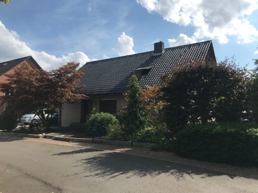 Vorgarten Nachher