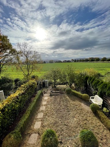 Gartenprojekt